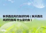 秋季西北风钓鱼好钓吗（秋天西北风好钓鱼吗 什么是钓鱼）
