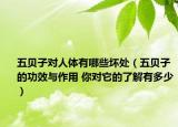 五贝子对人体有哪些坏处（五贝子的功效与作用 你对它的了解有多少）