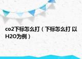 co2下标怎么打（下标怎么打 以H2O为例）
