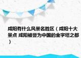 咸阳有什么风景名胜区（咸阳十大景点 咸阳被誉为中国的金字塔之都）