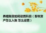 养殖账目如何设置科目（畜牧资产怎么入账 怎么设置）
