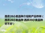 西农20小麦品种介绍和产量咋样（西农20小麦品种 西农20小麦品种好不好）