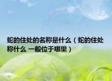 蛇的住处的名称是什么（蛇的住处称什么 一般位于哪里）