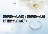酒柜摆什么合适（酒柜摆什么树好 摆什么方向好）