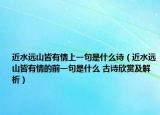 近水远山皆有情上一句是什么诗（近水远山皆有情的前一句是什么 古诗欣赏及解析）