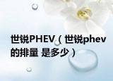 世锐PHEV（世锐phev的排量 是多少）