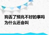 狗丢了预兆不好的事吗 为什么还会叫