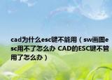 cad为什么esc键不能用（sw画图esc用不了怎么办 CAD的ESC键不管用了怎么办）