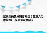 盆景修剪的原则有哪些（盆景入门修剪 每一步都有大学问）