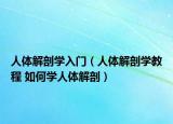 人体解剖学入门（人体解剖学教程 如何学人体解剖）