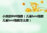 小孩的BMI指数（儿童bmi指数 儿童bmi指数怎么算）