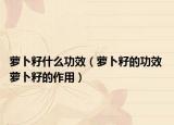 萝卜籽什么功效（萝卜籽的功效 萝卜籽的作用）