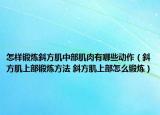怎样锻炼斜方肌中部肌肉有哪些动作（斜方肌上部锻炼方法 斜方肌上部怎么锻炼）