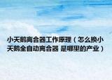 小天鹅离合器工作原理（怎么换小天鹅全自动离合器 是哪里的产业）