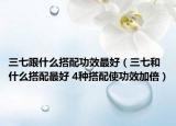 三七跟什么搭配功效最好（三七和什么搭配最好 4种搭配使功效加倍）