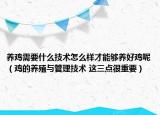 养鸡需要什么技术怎么样才能够养好鸡呢（鸡的养殖与管理技术 这三点很重要）