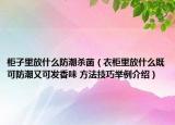 柜子里放什么防潮杀菌（衣柜里放什么既可防潮又可发香味 方法技巧举例介绍）