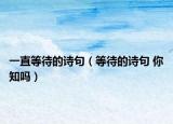 一直等待的诗句（等待的诗句 你知吗）