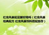 红虫风暴配蓝鲫好用吗（红虫风暴经典配方 红虫风暴饵料搭配推荐）
