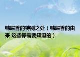 鸭屎香的特别之处（鸭屎香的由来 这些你需要知道的）