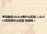 学驾驶证c1c2c3有什么区别（c1c2c3驾照有什么区别 你知吗）