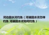 河边回水湾钓鱼（河道回水湾怎样钓鱼 河道回水湾如何钓鱼）