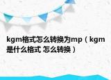 kgm格式怎么转换为mp（kgm是什么格式 怎么转换）