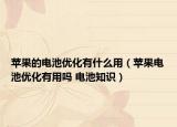 苹果的电池优化有什么用（苹果电池优化有用吗 电池知识）