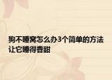 狗不睡窝怎么办3个简单的方法让它睡得香甜