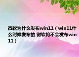 微软为什么发布win11（win11什么时候发布的 微软将不会发布win11）