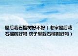 屋后栽石榴树好不好（老家屋后栽石榴树好吗 院子里栽石榴树好吗）