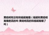 黄晓明有没有和杨颖离婚（杨颖和黄晓明离婚是真的吗 黄晓明真的和杨颖离婚了吗）
