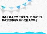 顶漂下顿不中鱼什么原因（为何调平水下顿与顶漂不明显 调钓是什么意思）