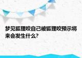 梦见狐狸咬自己被狐狸咬预示将来会发生什么?