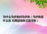 为什么马步鱼叫马步鱼（马步鱼是什么鱼 它既是海鱼又是河鱼）