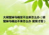 大闸蟹掉马桶里不出来怎么办（螃蟹掉马桶出不来怎么办 发挥才智）
