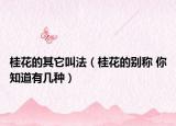 桂花的其它叫法（桂花的别称 你知道有几种）