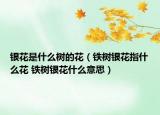 银花是什么树的花（铁树银花指什么花 铁树银花什么意思）