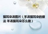 猫耳朵汤图片（羊汤猫耳朵的做法 羊汤猫耳朵怎么做）
