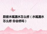 厨房水嘴漏水怎么修（水嘴漏水怎么修 你会修吗）
