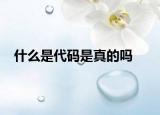 什么是代码是真的吗