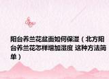 阳台养兰花盆面如何保湿（北方阳台养兰花怎样增加湿度 这种方法简单）