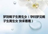 梦到蝎子生男生女（孕妇梦见蝎子生男生女 快来看看）