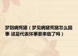 梦到病死猪（梦见病猪死猪怎么回事 这是代表坏事要来临了吗）