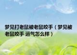 梦见打老鼠被老鼠咬手（梦见被老鼠咬手 运气怎么样）