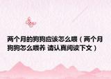 两个月的狗狗应该怎么喂（两个月狗狗怎么喂养 请认真阅读下文）