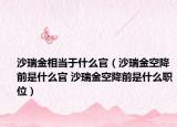 沙瑞金相当于什么官（沙瑞金空降前是什么官 沙瑞金空降前是什么职位）