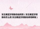 安吉星蓝牙钥匙包如何用（安吉星蓝牙钥匙包怎么用 安吉星蓝牙钥匙包使用教程）