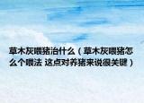 草木灰喂猪治什么（草木灰喂猪怎么个喂法 这点对养猪来说很关键）