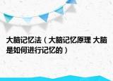 大脑记忆法（大脑记忆原理 大脑是如何进行记忆的）
